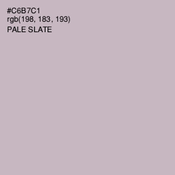 #C6B7C1 - Pale Slate Color Image