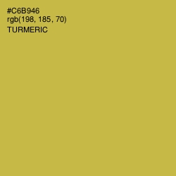 #C6B946 - Turmeric Color Image