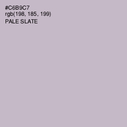 #C6B9C7 - Pale Slate Color Image