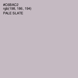 #C6BAC2 - Pale Slate Color Image