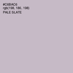 #C6BAC6 - Pale Slate Color Image