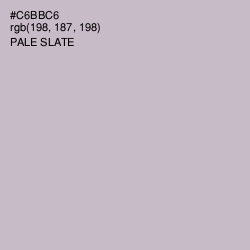 #C6BBC6 - Pale Slate Color Image