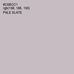 #C6BCC1 - Pale Slate Color Image