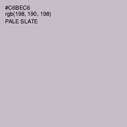 #C6BEC6 - Pale Slate Color Image