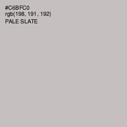 #C6BFC0 - Pale Slate Color Image