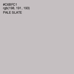 #C6BFC1 - Pale Slate Color Image