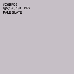 #C6BFC5 - Pale Slate Color Image