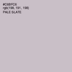 #C6BFC6 - Pale Slate Color Image