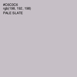 #C6C0C6 - Silver Color Image