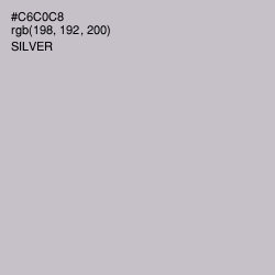 #C6C0C8 - Silver Color Image