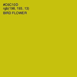 #C6C10D - Bird Flower Color Image