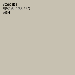 #C6C1B1 - Ash Color Image