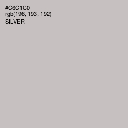 #C6C1C0 - Silver Color Image