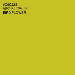 #C6C225 - Bird Flower Color Image