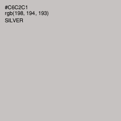 #C6C2C1 - Silver Color Image