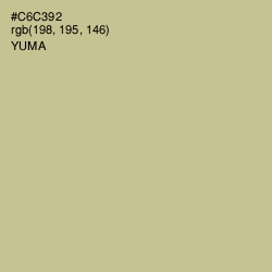 #C6C392 - Yuma Color Image