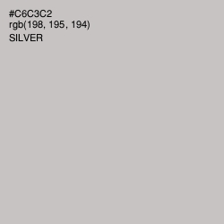 #C6C3C2 - Silver Color Image