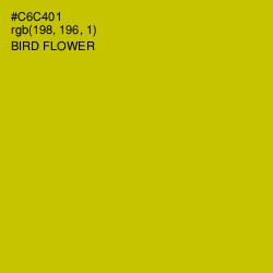 #C6C401 - Bird Flower Color Image