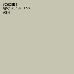 #C6C5B1 - Ash Color Image