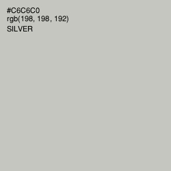 #C6C6C0 - Silver Color Image