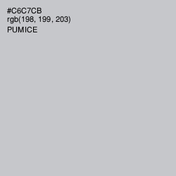 #C6C7CB - Pumice Color Image