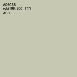 #C6C8B1 - Ash Color Image