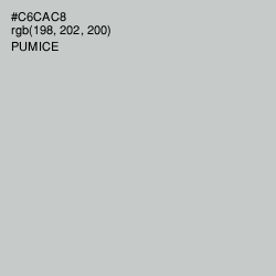 #C6CAC8 - Pumice Color Image