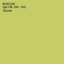 #C6CC66 - Tacha Color Image