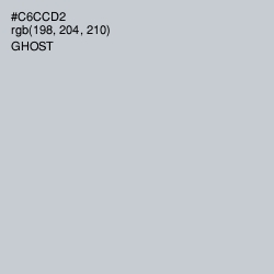 #C6CCD2 - Ghost Color Image