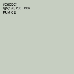 #C6CDC1 - Pumice Color Image