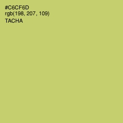 #C6CF6D - Tacha Color Image