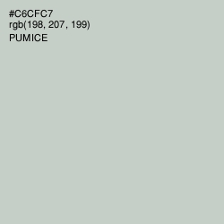 #C6CFC7 - Pumice Color Image