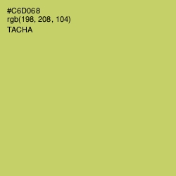 #C6D068 - Tacha Color Image