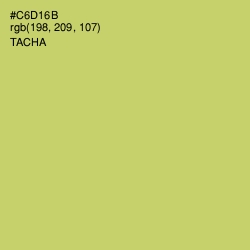 #C6D16B - Tacha Color Image