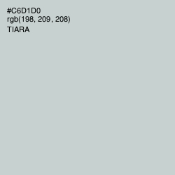 #C6D1D0 - Tiara Color Image