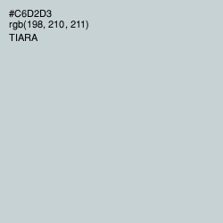 #C6D2D3 - Tiara Color Image