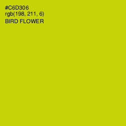 #C6D306 - Bird Flower Color Image