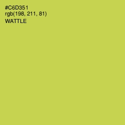 #C6D351 - Wattle Color Image