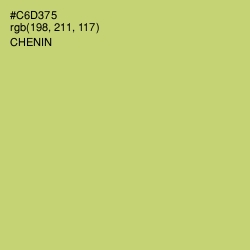 #C6D375 - Chenin Color Image