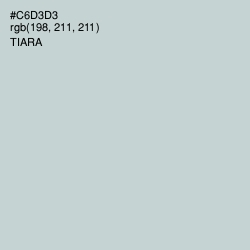 #C6D3D3 - Tiara Color Image
