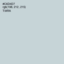 #C6D4D7 - Tiara Color Image