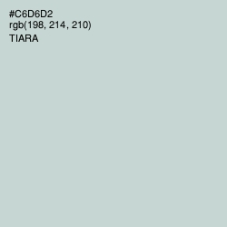 #C6D6D2 - Tiara Color Image