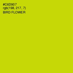 #C6D907 - Bird Flower Color Image