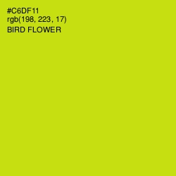 #C6DF11 - Bird Flower Color Image