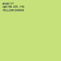 #C6E177 - Yellow Green Color Image