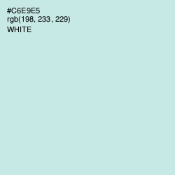 #C6E9E5 - Jagged Ice Color Image