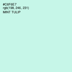 #C6F6E7 - Mint Tulip Color Image