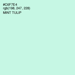 #C6F7E4 - Mint Tulip Color Image
