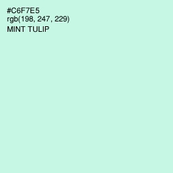 #C6F7E5 - Mint Tulip Color Image