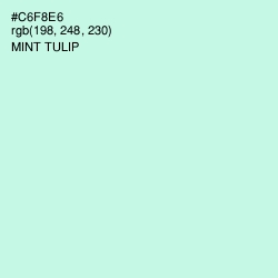 #C6F8E6 - Mint Tulip Color Image